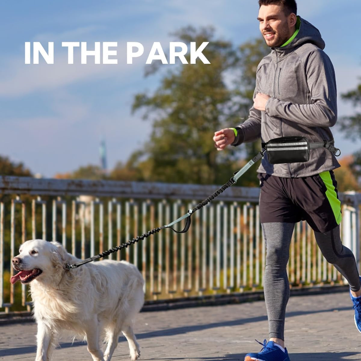 Hands Free Dog Leash, Double Dog Leash with Waist Bag, Back Brace, Double Padded Handles, Running Belt Fanny Pack with Phone, Treat, (Large, 26-120 Lbs)